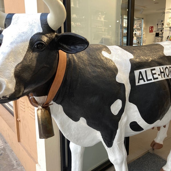 ale-hop-en-palma-illes-balears