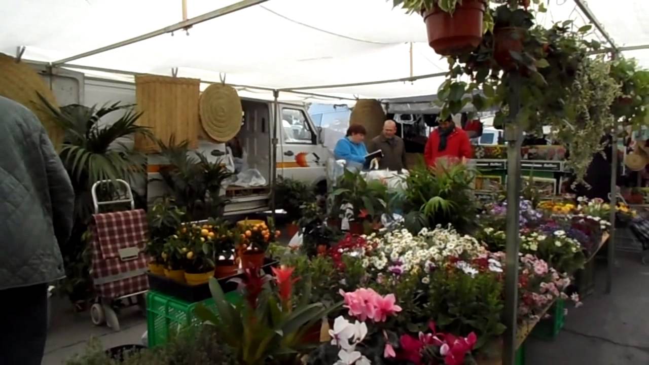 bazar-almonte-en-almonte-huelva