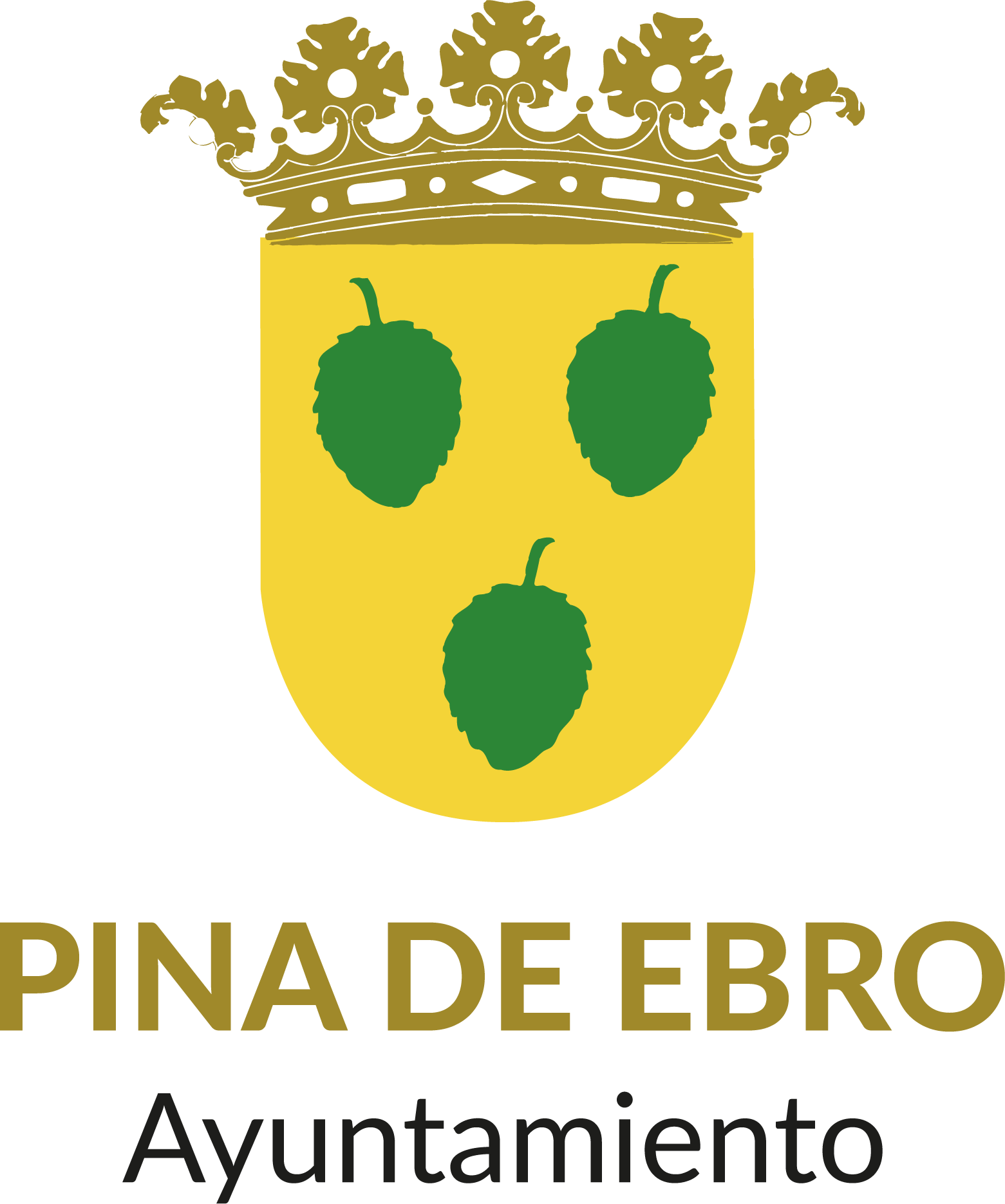 bazar-li-en-pina-de-ebro-zaragoza