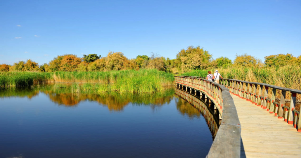 El Hiper Chollo Daimiel en Daimiel, Ciudad Real el-hiper-chollo-daimiel-en-daimiel-ciudad-real