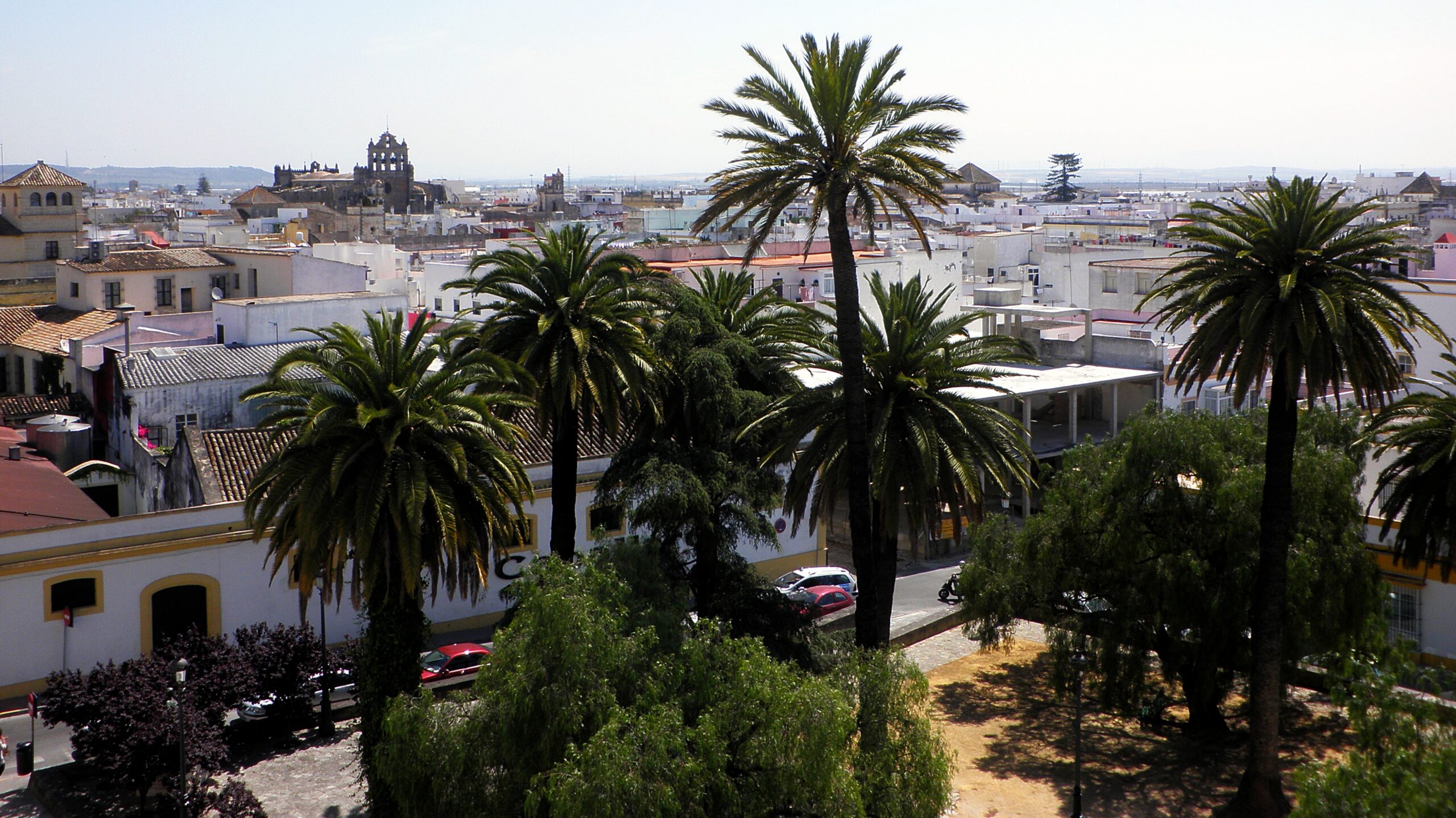muskaria-en-el-puerto-de-sta-maria-cadiz
